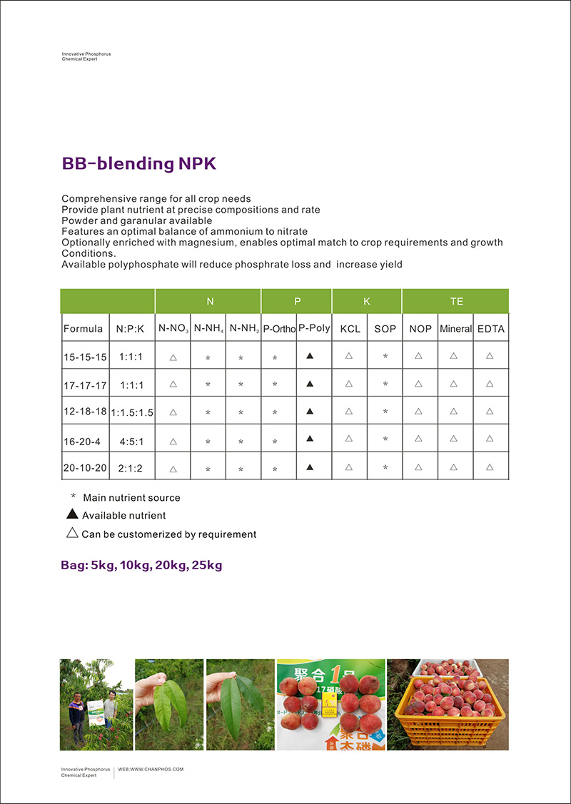 Ӣ����վBBNPK