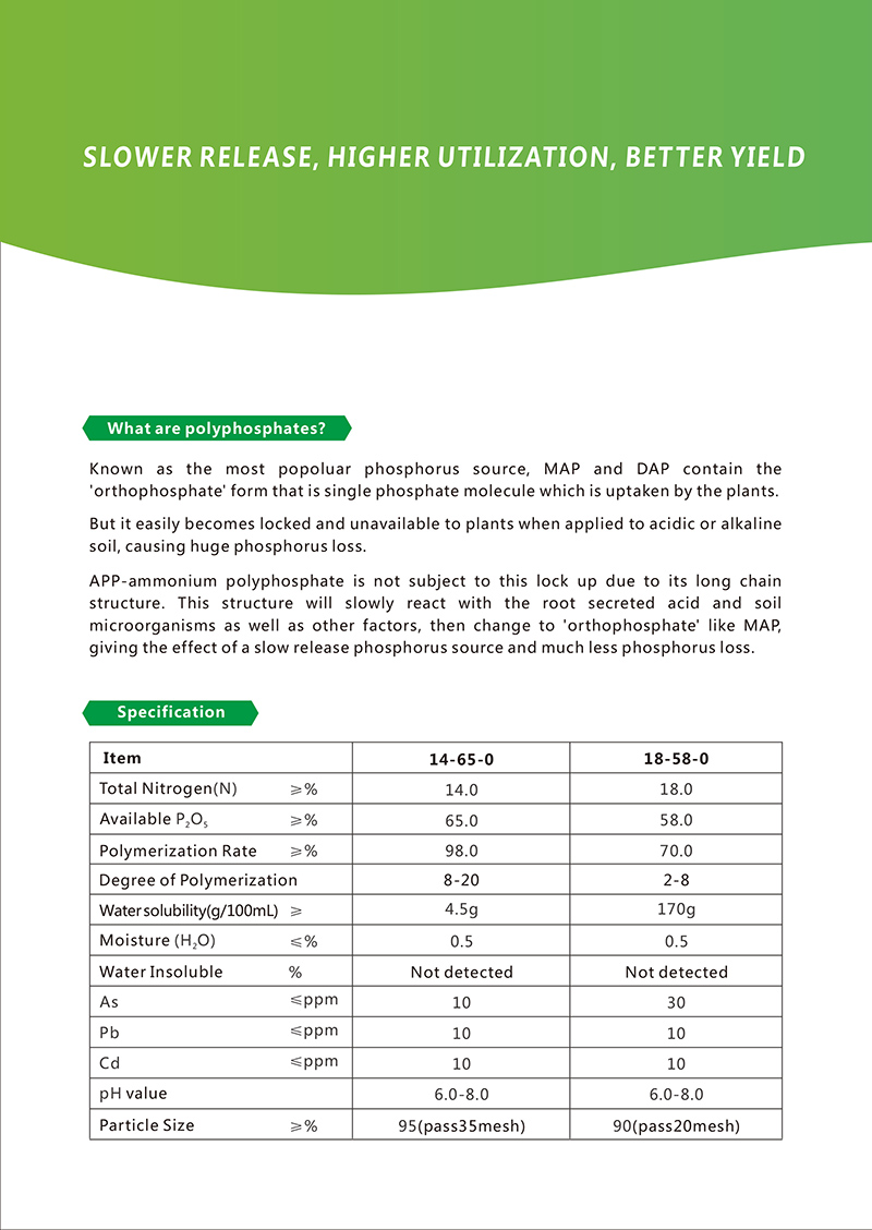 Ӣ��APP������ҳ20180827-2